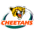 Federally Administered Tribal Areas Cheetas
