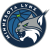 Minnesota Lynx