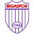 Bigaspor