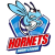 Rochdale Hornets