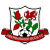 Aberbargoed Buds FC