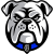 Canterbury Bankstown Bulldogs