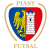 Piast Gliwice