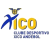 Clube Desportivo Xico Andebol