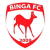 Binga FC