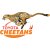 Free State Cheetahs