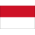 Team Indonesia