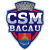Clubul Sportiv Municipal Bacau